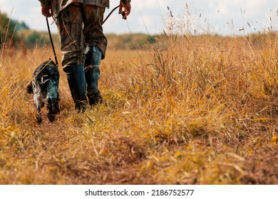 Hunter And Dog Walking On Grass In Countryside, Rear View