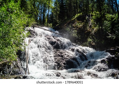 144 Floresta Nacional Wallowa Whitman Images, Stock Photos & Vectors ...