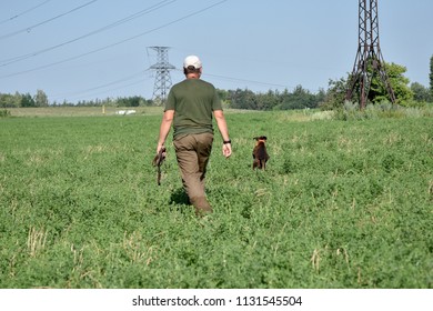 A hunter with a German short haired pointer in the field.