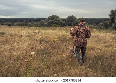 Hunter going through rural field with hunting dog Weimaraner during hunting season