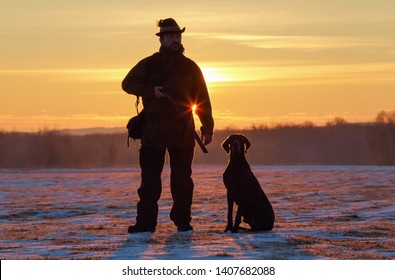 1000 German Shorthaired Pointer Silhouette Stock Images Photos