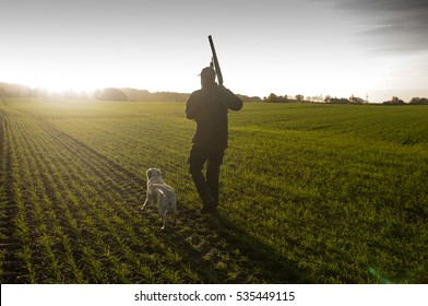 Hunter With Hunting Dog And Rifle