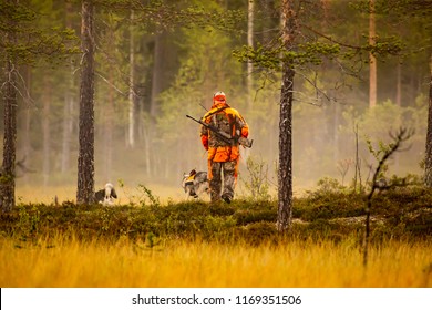 Hunter And Hunting Dogs Chasing In The Wilderness