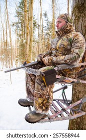 Hunter With Rifle In A Tree Stand