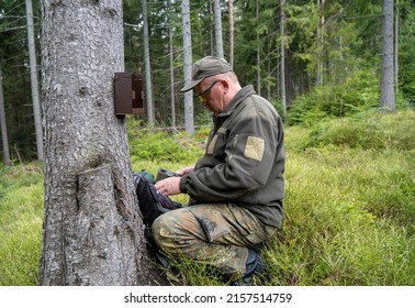 Hunter sets a trail camera on a tree in the forest. Trail cameras are often used by hunters for automatic photography or video shooting of wildlife in the forest.