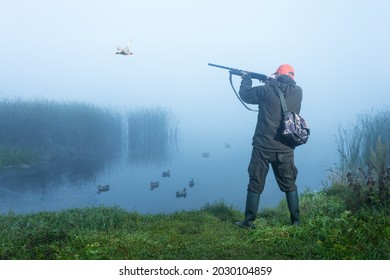 Hunter shooting into sky during duck hunting on autumn morning. Hunting with ducks decoy on lake.