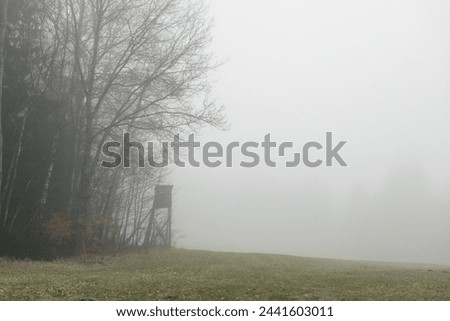 Hunter tree stand in fog in the nature
