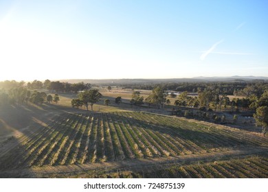 Hunter Valley Sunrise