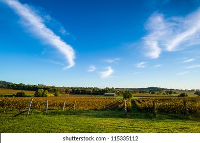 Hunter Valley Wine Country