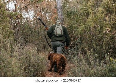 Hunter Walking In Middle Of Forest With His Dog Behind