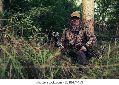 758 Deer arrow Stock Photos, Images & Photography | Shutterstock