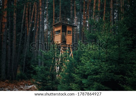 
Hunters' booth at the edge of the forest and in the forest                               