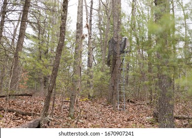 A hunter's deer tree stand in the woods. Tree stands are often used by hunters to get higher than the animals they are hunting. You climb a ladder to get in to the stand. - Powered by Shutterstock