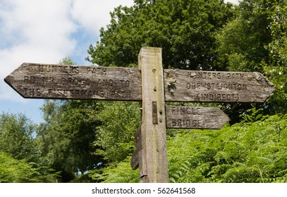 Hunters Fishermans Path Drogo Public Bridle Stock Photo 562641568 