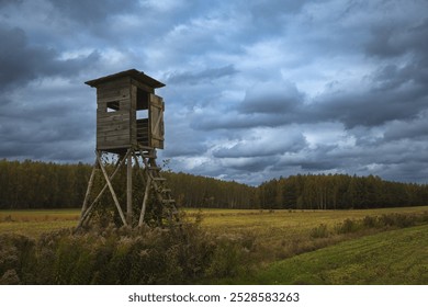 hunting blind autumn in misty forest. october fields and forest Poland Europe, Knyszyn Primeval Forest, birch trees, spruce trees, pine trees - Powered by Shutterstock