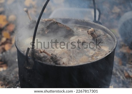 Hunting broth. Wild fowl (waterfowl, goose). Rich soup on stake is cooked hunting chowder in boiler (Game stew). Northern original recipe. Food that is thousands of years old, prehistoric civilization