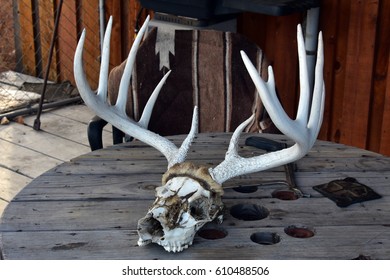 Hunting Cabin - Dude Ranch