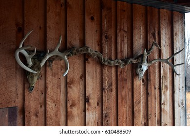 Hunting Cabin - Dude Ranch