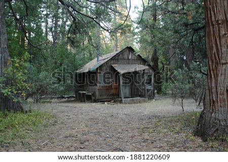 Hunting Cabin Found in Woods