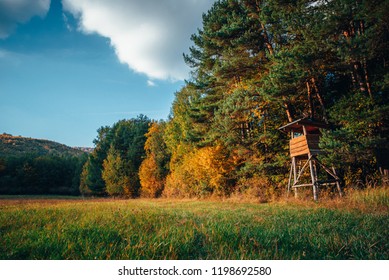 Hunting Cabine In Orange Autumn Nature, Warm Sunset Light