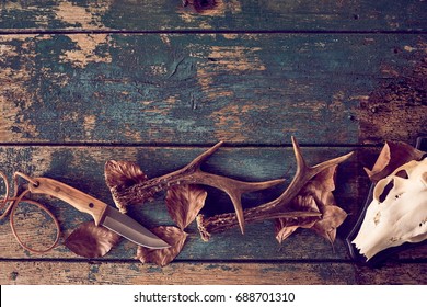Hunting concept with deer antlers, knife, skull against wooden background