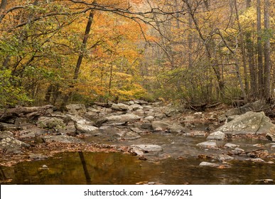 Hunting Creek flows through a forest in the Catoctin Mountain Park in Maryland during the fall season.