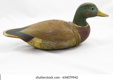 Hunting decoy of mallard duck