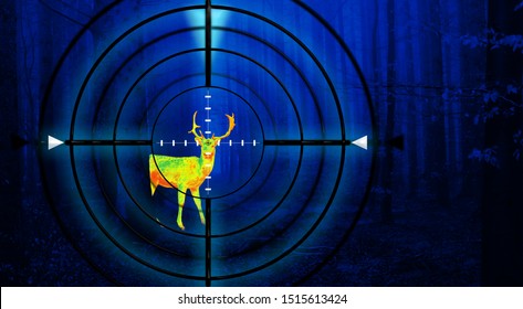 Hunting a deer in a forest at night using thermal imaging. Scope view with crosshair. - Shutterstock ID 1515613424