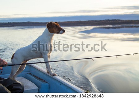 Hunting dog Terrier stands in the boat next to the fisherman. The concept of a secluded holiday in nature. Horizontal orientation