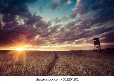 Hunting Forest Lookout Tower In A Field At Sunset