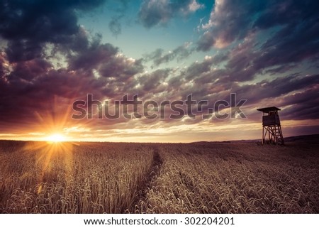 hunting forest lookout tower in a field at sunset
