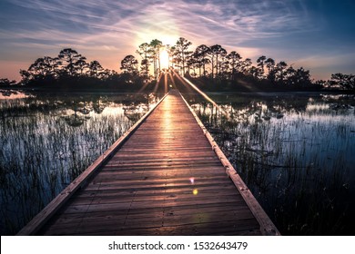 Hunting Island South Carolina Beach Scenes