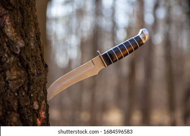 Hunting Knife In The Old Forest