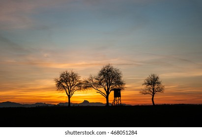 Hunting Lodge Between Trees At Sunset