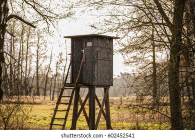 Hunting Lodge In Nature