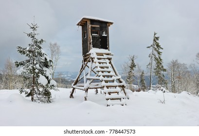 Hunting Lodge In The Woods