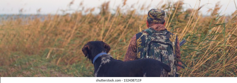 Hunting period, autumn season open. A hunter with a gun in his hands in hunting clothes in the autumn forest in search of a trophy. A man stands with weapons and hunting dogs tracking down the game.