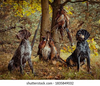 hunting pheasants the hunt was successful for Hey - Zani - Shutterstock ID 1835849032