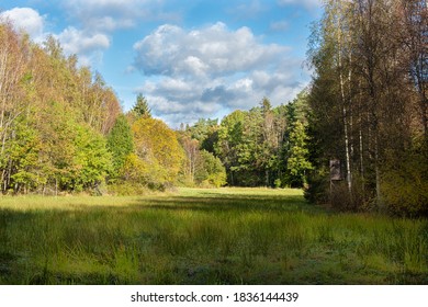 Hunting Tower By A Clearing In The Woods At Fall