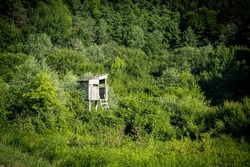 Hunting Tower In The Dense Vegetation On The Edge Of Forest At The Village Of Krasic, Croatia