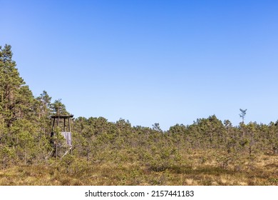 Hunting Tower On A Raised Bog