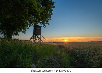 Hunting Tower Standing In A Field With A Lone Oak,sunset Time