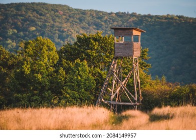 Hunting tower in wild forest. Wooden Hunter Hide High watch post tower. Hunter's observation point in forest in Europe.