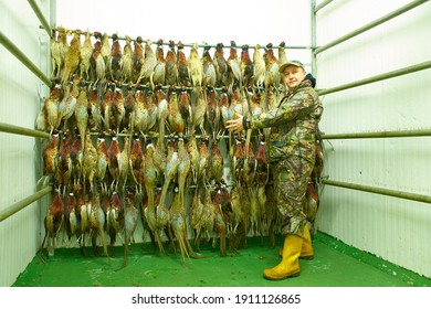 Hunting trophies hang on bunches. A man with a lot of shots pheasants.