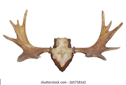 Moose-antlers Images, Stock Photos & Vectors | Shutterstock