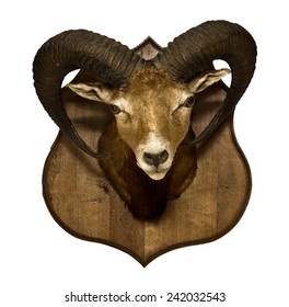 71 Stuffed Rams Head Images, Stock Photos & Vectors | Shutterstock