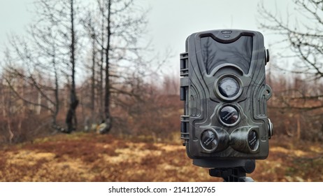 Hunting Video Camera For Amateur Shooting Of Wild Animals. Salekhard. Yamal. Russia.