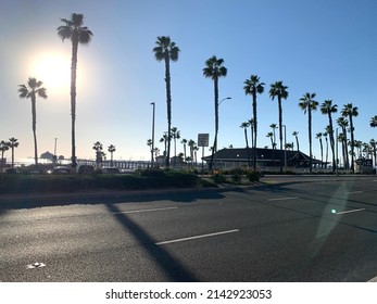 Huntington Beach California Palm Tree Road Silhoutte