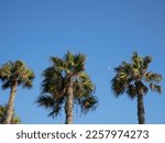  Huntington Beach is a city in Orange County, southern California, United States. The city is located in the Greater Los Angeles Area.