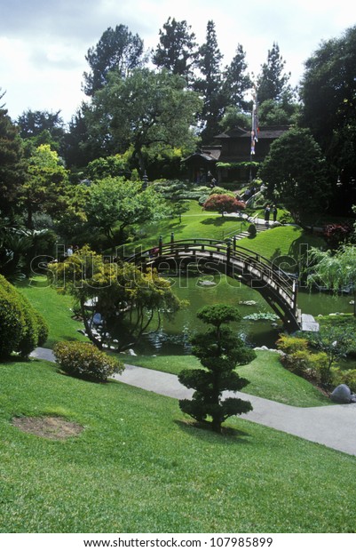 Huntington Library Gardens Japanese Gardens Pasadena Stock Photo